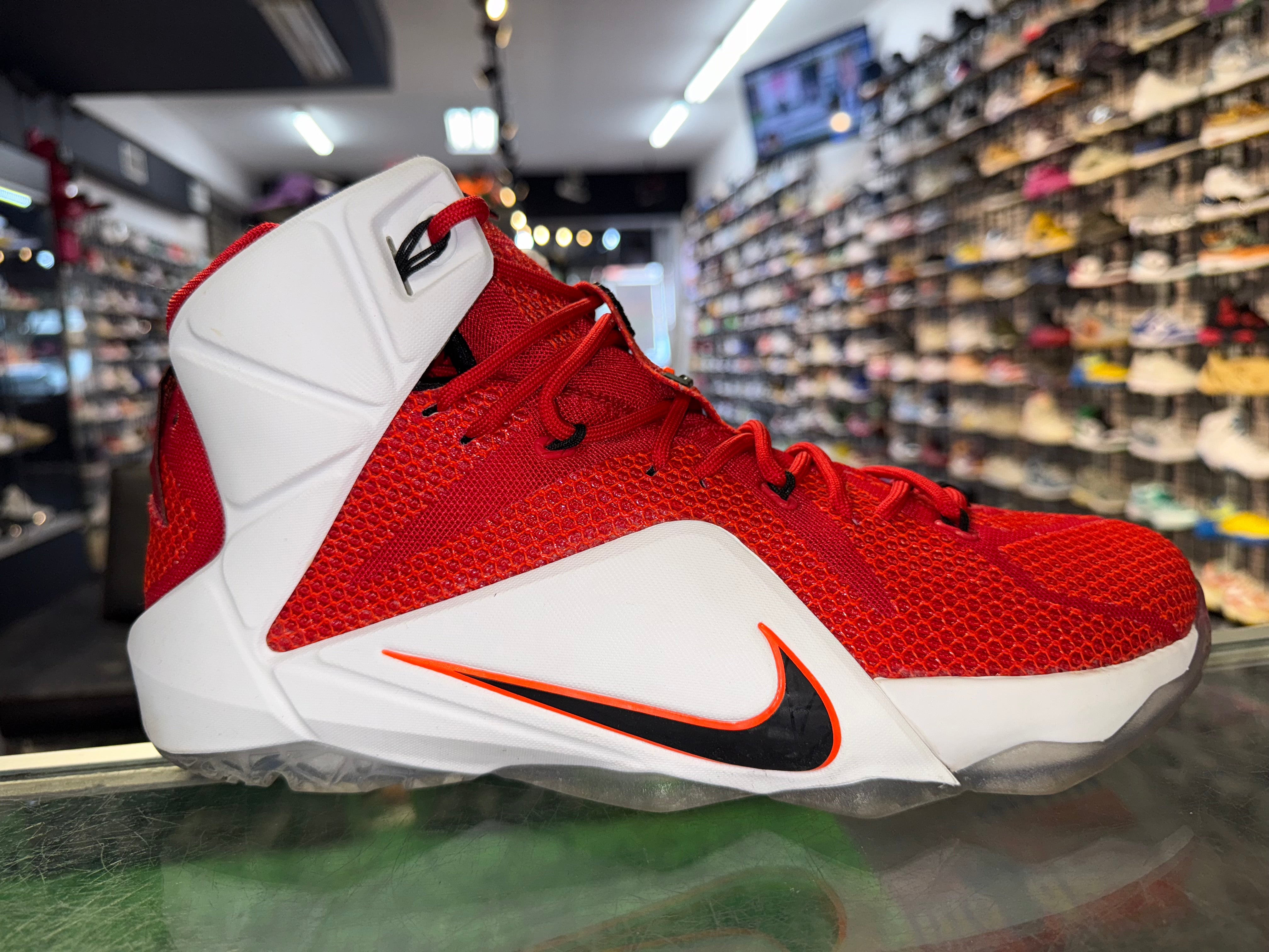 Size 11.5 Lebron 12 "Heart of a Lion"