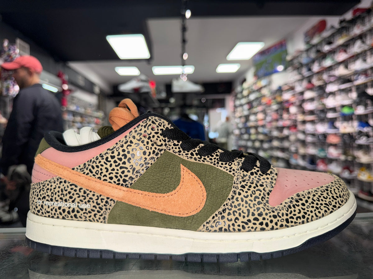 Size 11 Dunk Low SB "Arts-Rec" Brand New