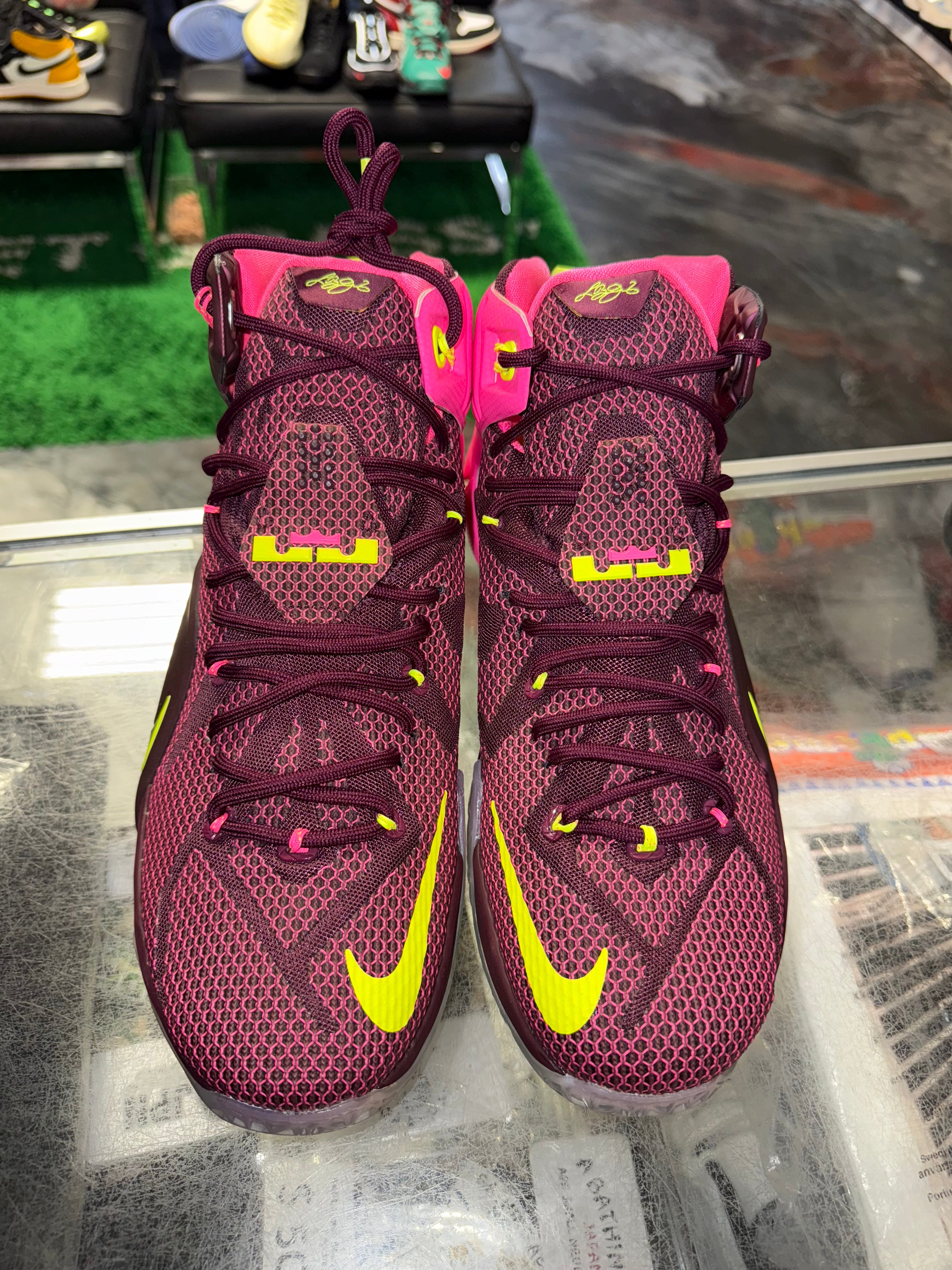 Size 11.5 Lebron 12 "Double Helix" Brand New
