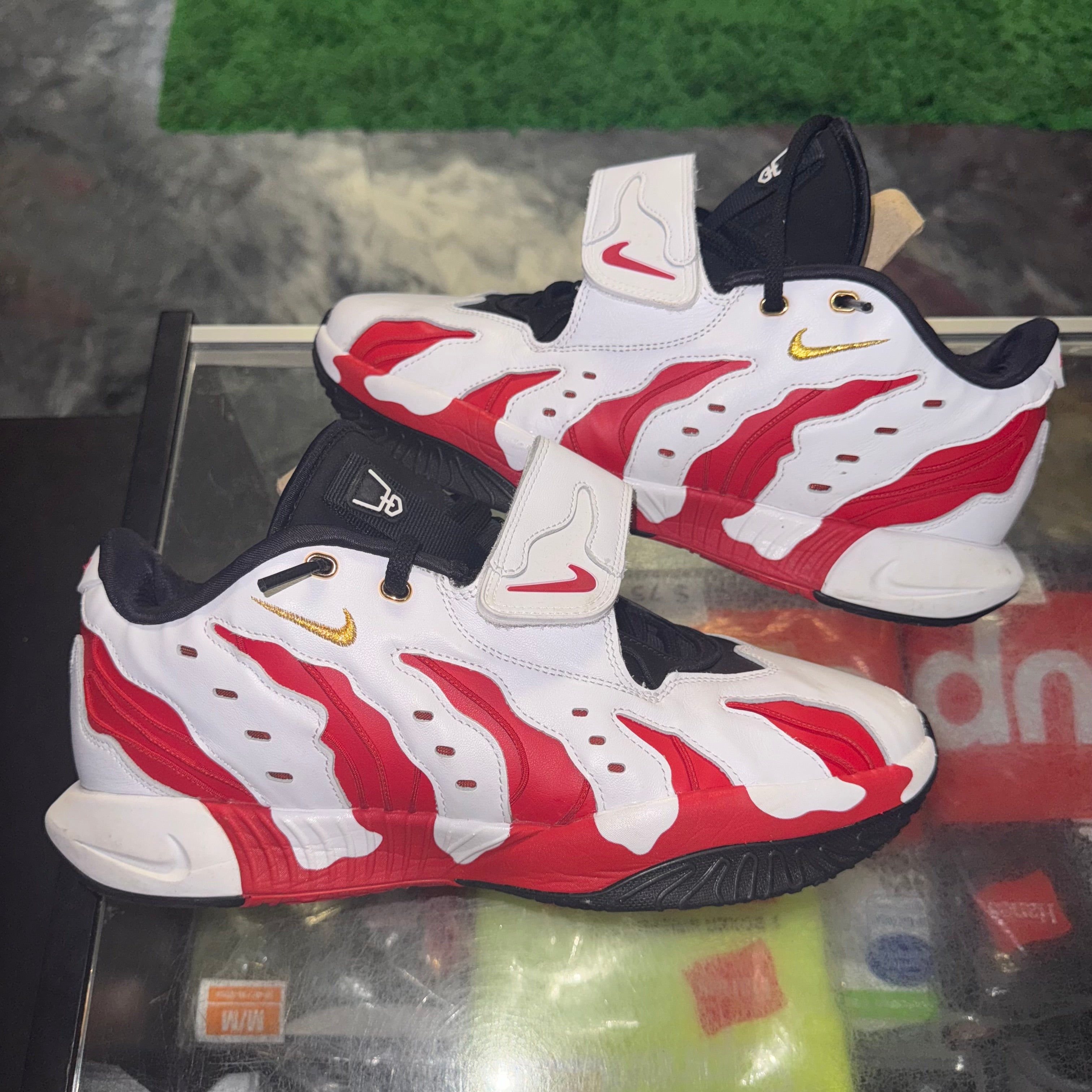 Size 12 Lebron 21 "Prime 96" - NB