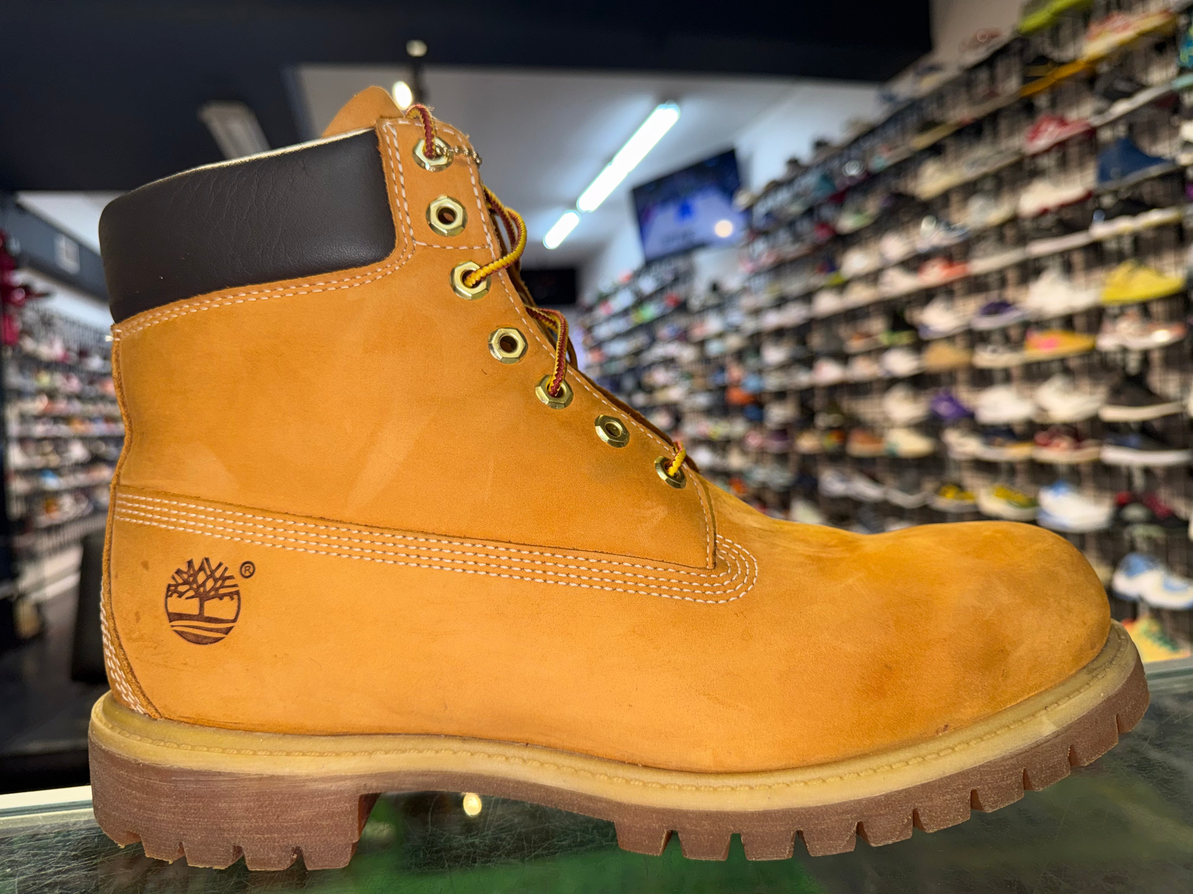 Size 12 Timberland 6 Inch Premium Boot "Wheat"