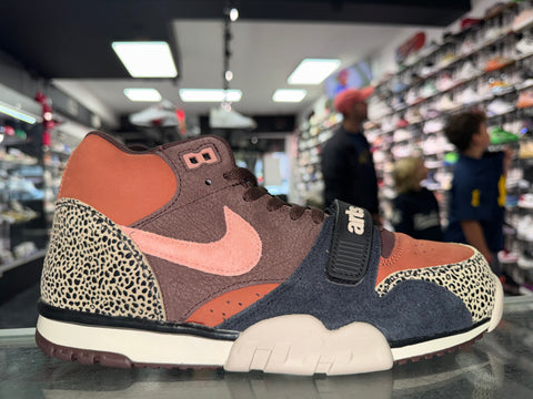 Size 10.5 Air Trainer 1 SB "Arts-Rec Limestone" Brand New
