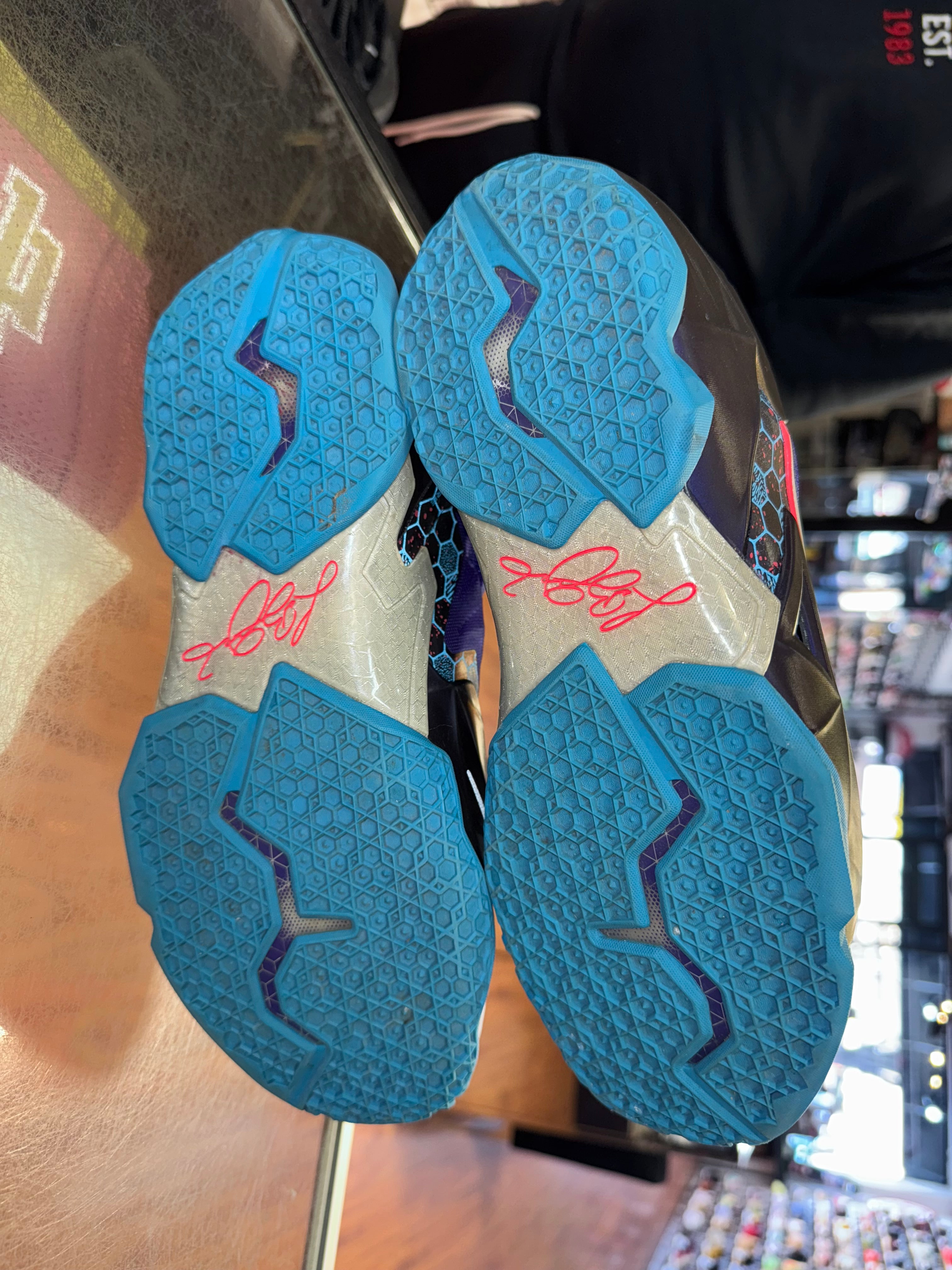 Size 10.5 Lebron 11 "Summit Lake Hornets"