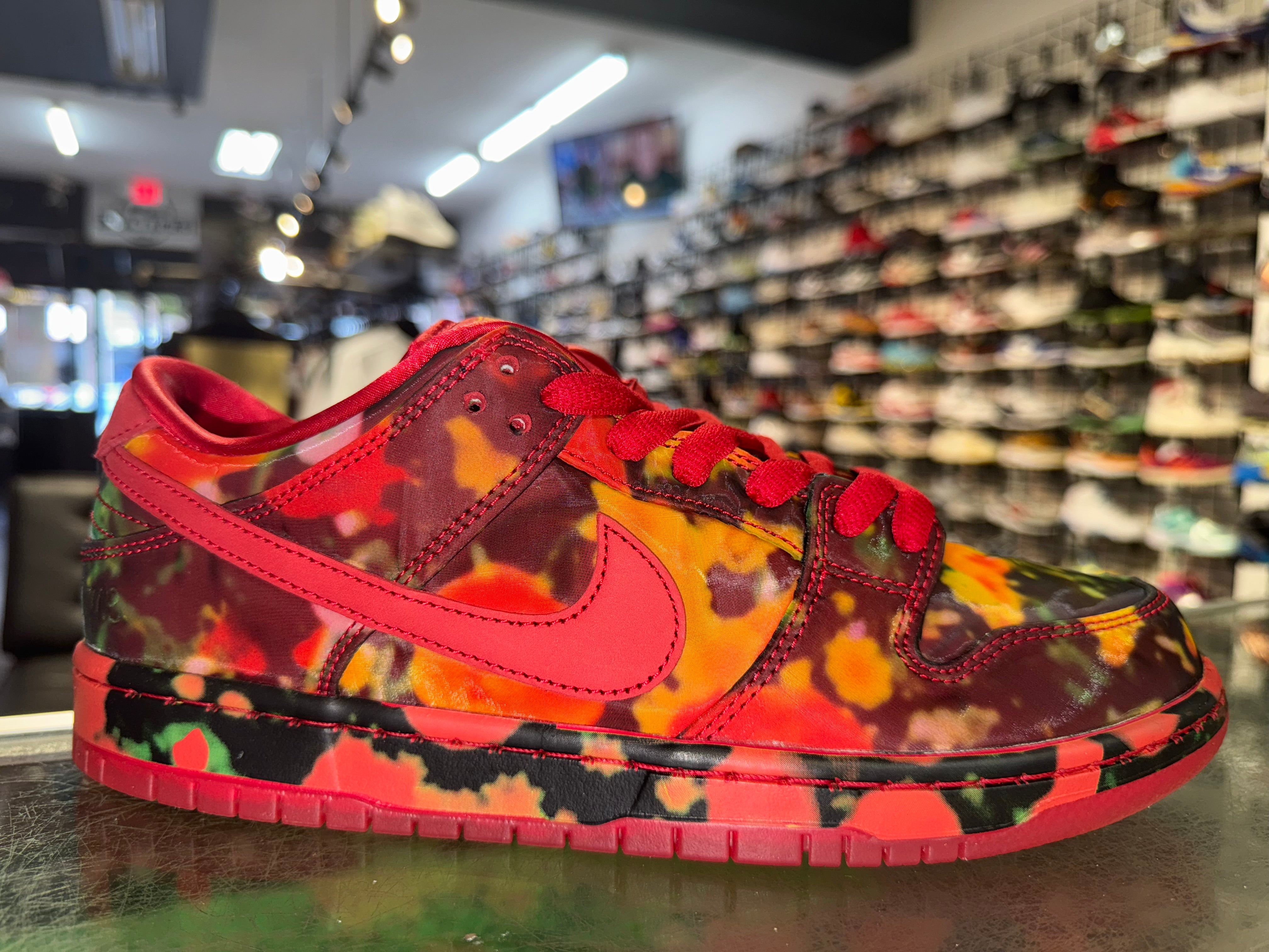 Size 9 Dunk Low SB The Wizard if Oz "Poppy Field" Brand New
