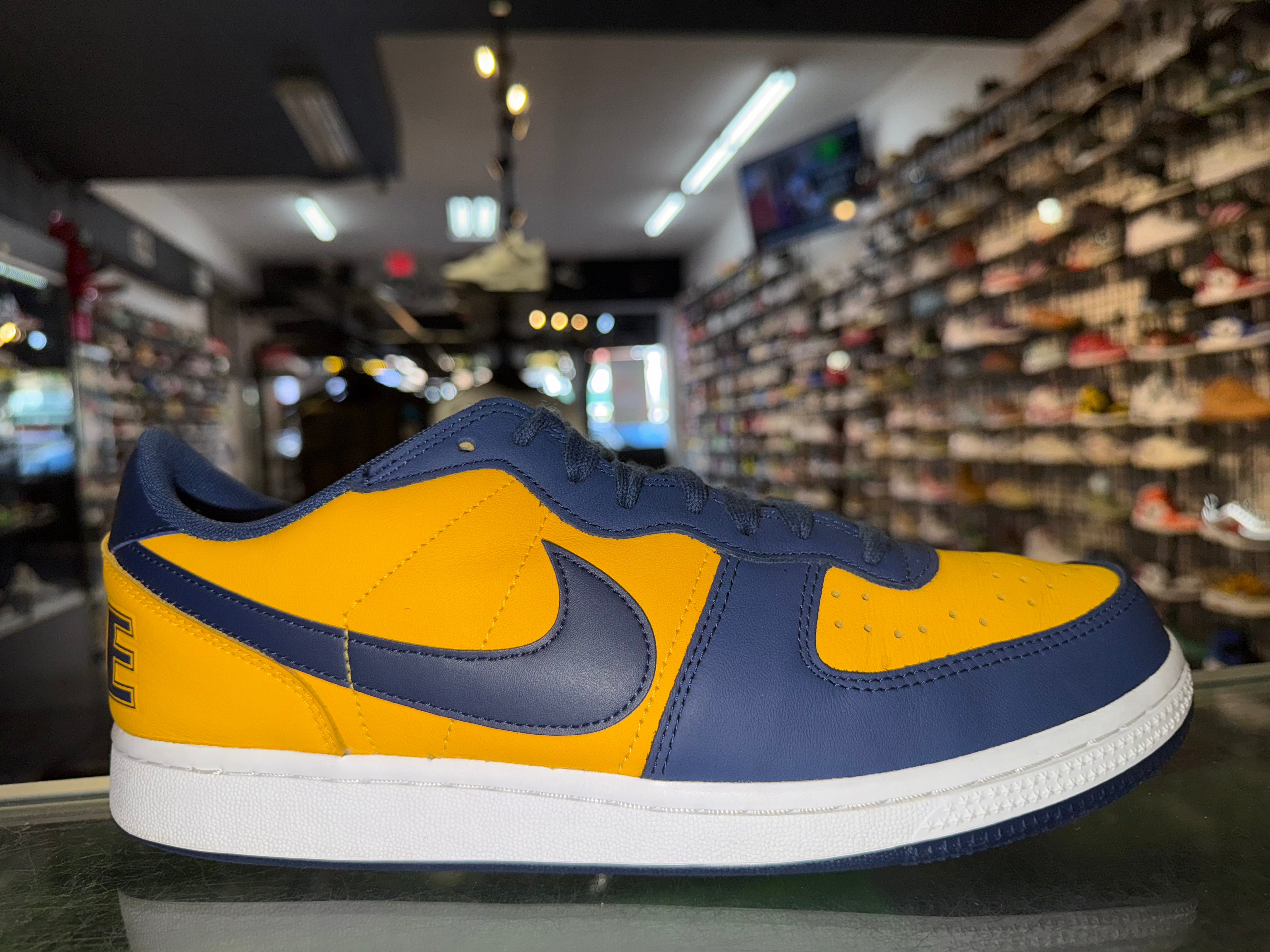 Size 10.5 Nike Terminator Low "University Gold"