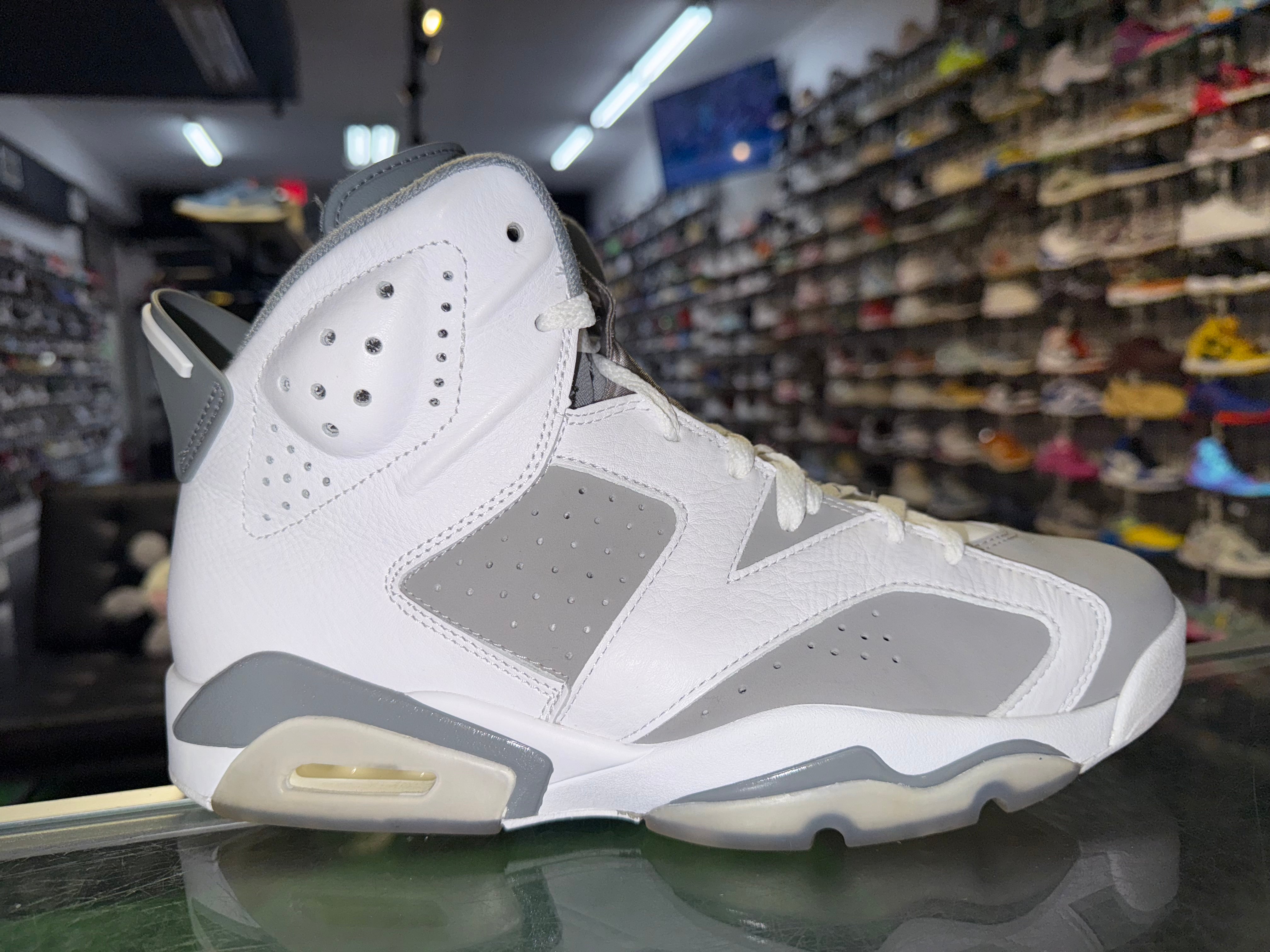 Size 9.5 Air Jordan 6 "Cool Grey"