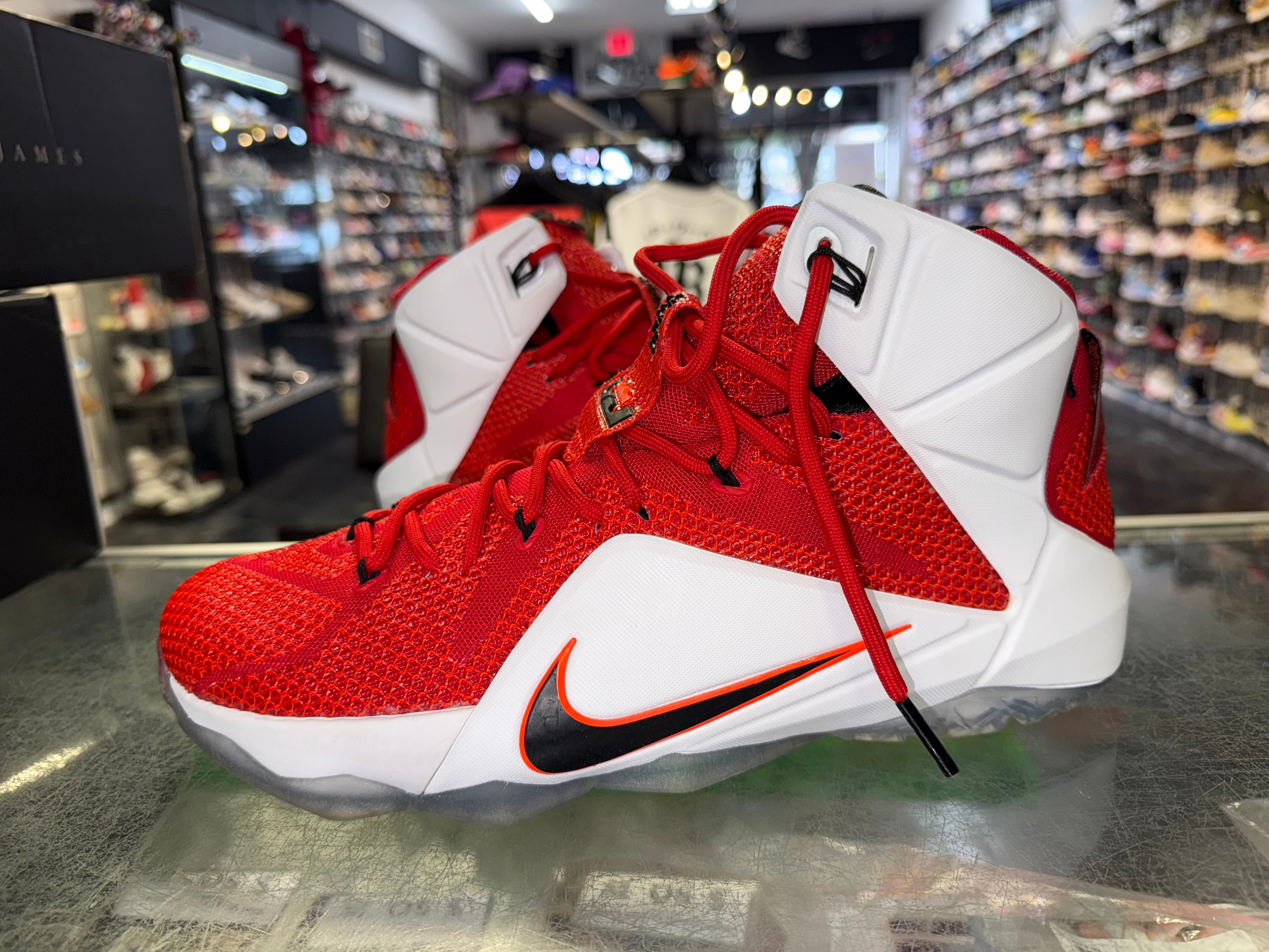 Size 11.5 Lebron 12 "Heart of a Lion"