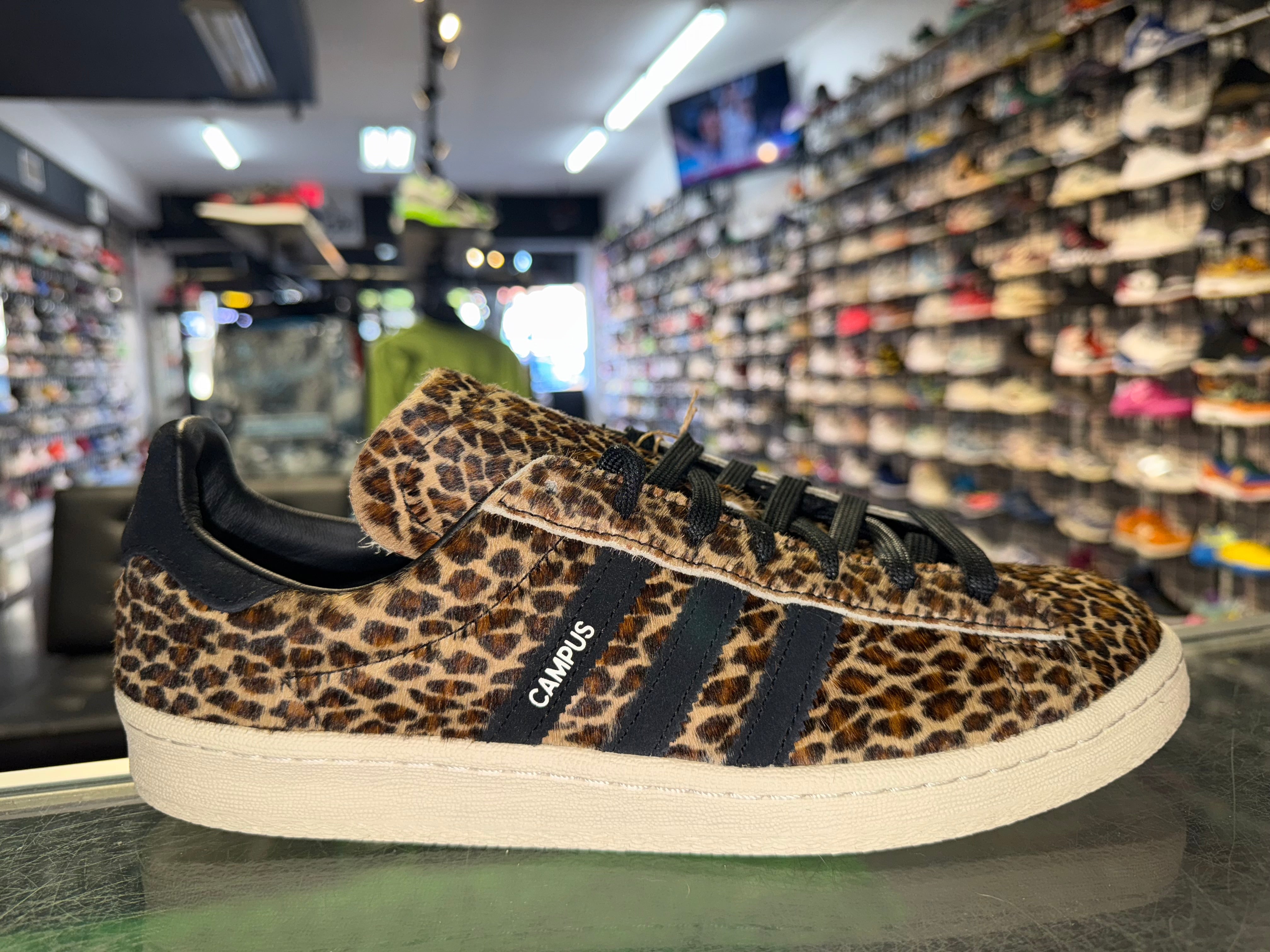 Size 10 Adidas Campus End x Neighborhood “Leopard” Brand New