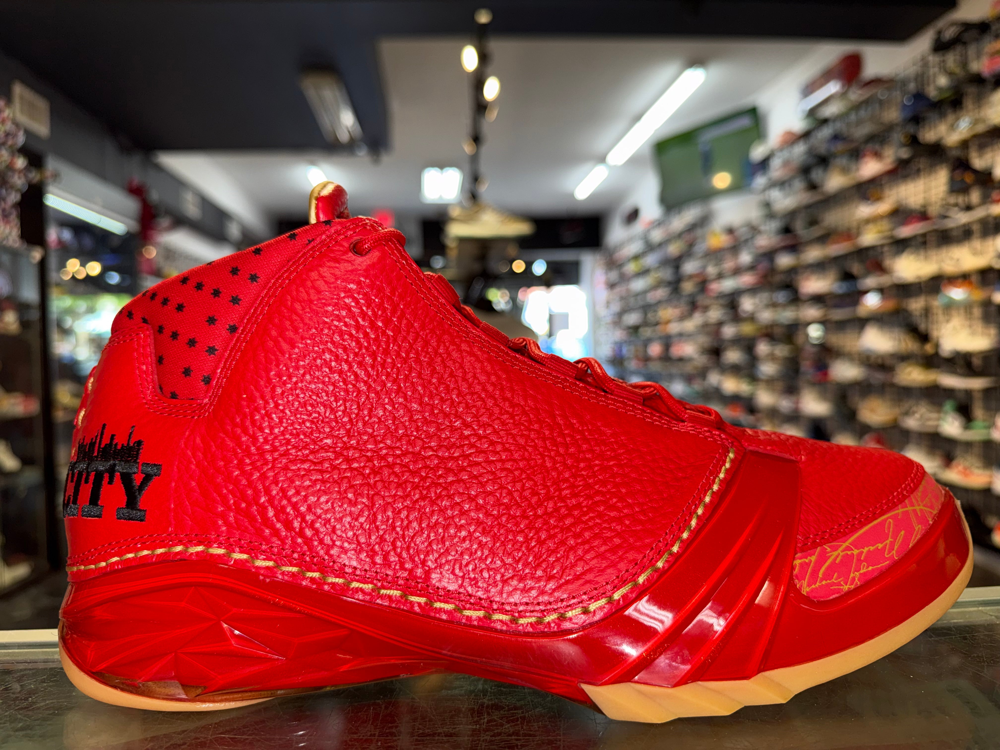 Size 10.5 Air Jordan 23 "Chicago" Brand New