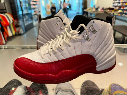 Size 9 Air Jordan 12 “Cherry” (Mall)